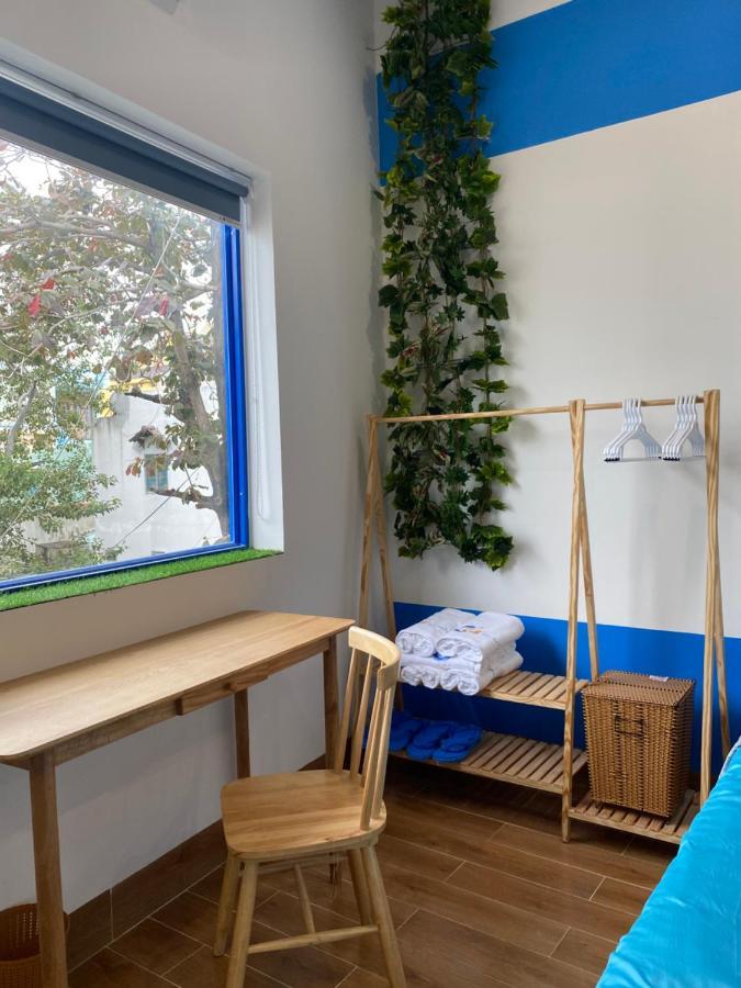 קוי נון Cat Homestay מראה חיצוני תמונה